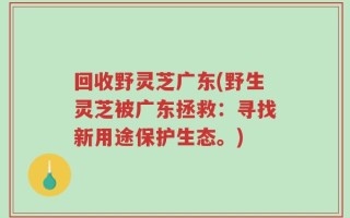回收野灵芝广东(野生灵芝被广东拯救：寻找新用途保护生态。)