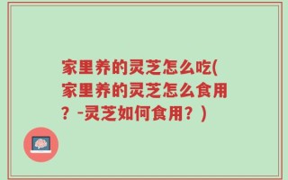 家里养的灵芝怎么吃(家里养的灵芝怎么食用？-灵芝如何食用？)