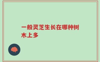 一般灵芝生长在哪种树木上多