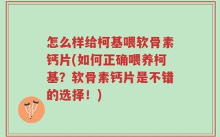 怎么样给柯基喂软骨素钙片(如何正确喂养柯基？软骨素钙片是不错的选择！)