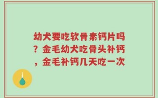 幼犬要吃软骨素钙片吗？金毛幼犬吃骨头补钙，金毛补钙几天吃一次