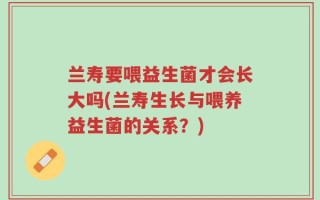 兰寿要喂益生菌才会长大吗(兰寿生长与喂养益生菌的关系？)