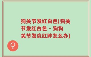 狗关节发红白色(狗关节发红白色 - 狗狗关节发炎红肿怎么办)