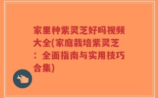 家里种紫灵芝好吗视频大全(家庭栽培紫灵芝：全面指南与实用技巧合集)