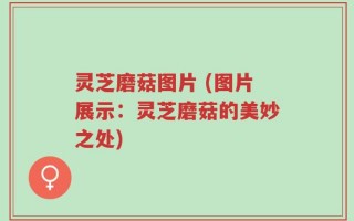 灵芝磨菇图片 (图片展示：灵芝磨菇的美妙之处)