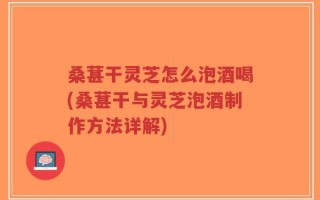 桑葚干灵芝怎么泡酒喝(桑葚干与灵芝泡酒制作方法详解)