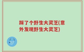 踩了个野生大灵芝(意外发现野生大灵芝)