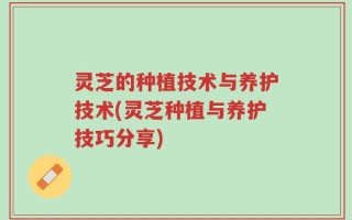 灵芝的种植技术与养护技术(灵芝种植与养护技巧分享)