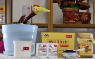 灵芝孢子粉配蜂蜜的功效？可以美容养颜，真的太神奇了