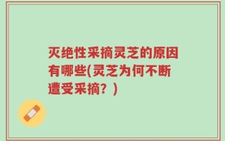 灭绝性采摘灵芝的原因有哪些(灵芝为何不断遭受采摘？)
