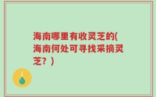 海南哪里有收灵芝的(海南何处可寻找采摘灵芝？)