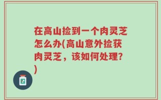 在高山捡到一个肉灵芝怎么办(高山意外捡获肉灵芝，该如何处理？)