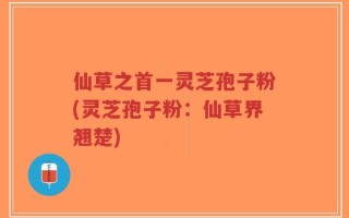 仙草之首一灵芝孢子粉(灵芝孢子粉：仙草界翘楚)
