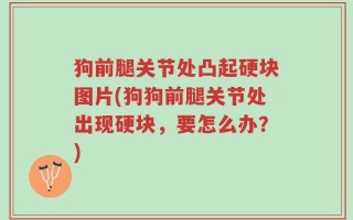狗前腿关节处凸起硬块图片(狗狗前腿关节处出现硬块，要怎么办？)