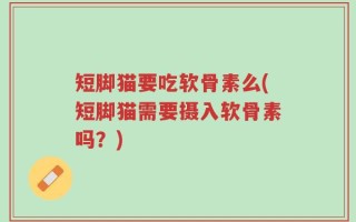 短脚猫要吃软骨素么(短脚猫需要摄入软骨素吗？)