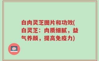白肉灵芝图片和功效(白灵芝：肉质细腻，益气养颜，提高免疫力)