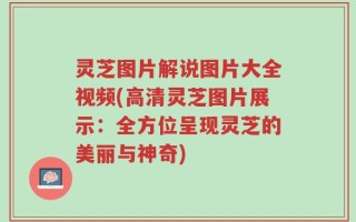 灵芝图片解说图片大全视频(高清灵芝图片展示：全方位呈现灵芝的美丽与神奇)