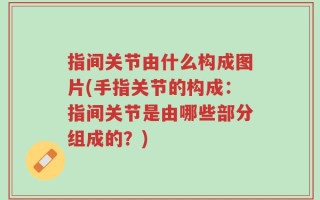 指间关节由什么构成图片(手指关节的构成：指间关节是由哪些部分组成的？)