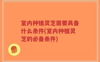 室内种植灵芝需要具备什么条件(室内种植灵芝的必备条件)