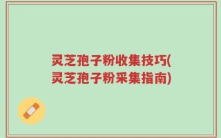 灵芝孢子粉收集技巧(灵芝孢子粉采集指南)