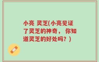 小亮 灵芝(小亮见证了灵芝的神奇， 你知道灵芝的好处吗？)