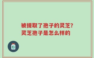 被提取了孢子的灵芝？灵芝孢子是怎么样的