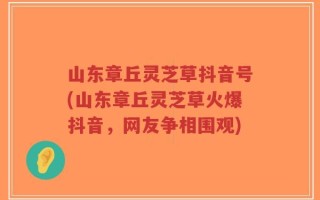 山东章丘灵芝草抖音号(山东章丘灵芝草火爆抖音，网友争相围观)