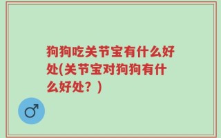 狗狗吃关节宝有什么好处(关节宝对狗狗有什么好处？)