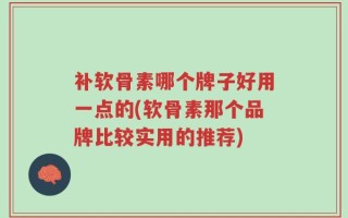 补软骨素哪个牌子好用一点的(软骨素那个品牌比较实用的推荐)