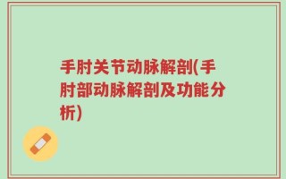 手肘关节动脉解剖(手肘部动脉解剖及功能分析)
