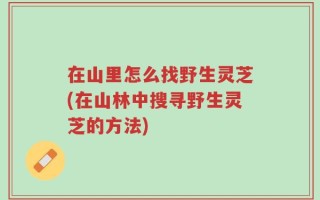 在山里怎么找野生灵芝(在山林中搜寻野生灵芝的方法)