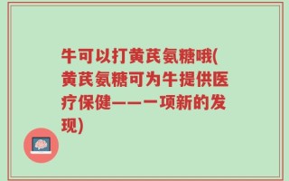 牛可以打黄芪氨糖哦(黄芪氨糖可为牛提供医疗保健——一项新的发现)