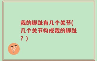 我的脚趾有几个关节(几个关节构成我的脚趾？)