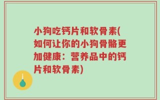 小狗吃钙片和软骨素(如何让你的小狗骨骼更加健康：营养品中的钙片和软骨素)