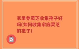 家里养灵芝收集孢子好吗(如何收集家庭灵芝的孢子)