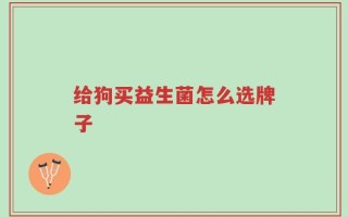 给狗买益生菌怎么选牌子