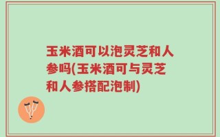 玉米酒可以泡灵芝和人参吗(玉米酒可与灵芝和人参搭配泡制)