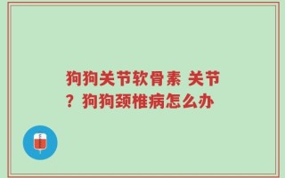 狗狗关节软骨素 关节？狗狗颈椎病怎么办