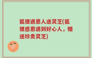 狐狸遇恩人送灵芝(狐狸感恩遇到好心人，赠送珍贵灵芝)