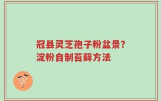 冠县灵芝孢子粉盆景？淀粉自制苔藓方法