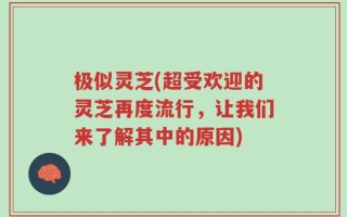 极似灵芝(超受欢迎的灵芝再度流行，让我们来了解其中的原因)