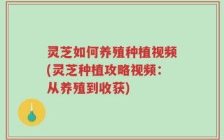 灵芝如何养殖种植视频(灵芝种植攻略视频：从养殖到收获)
