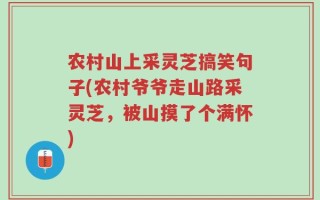 农村山上采灵芝搞笑句子(农村爷爷走山路采灵芝，被山摸了个满怀)