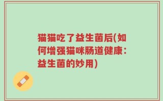 猫猫吃了益生菌后(如何增强猫咪肠道健康：益生菌的妙用)