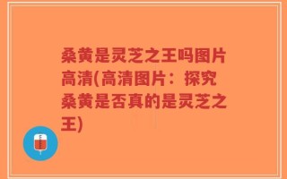 桑黄是灵芝之王吗图片高清(高清图片：探究桑黄是否真的是灵芝之王)