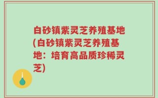 白砂镇紫灵芝养殖基地(白砂镇紫灵芝养殖基地：培育高品质珍稀灵芝)