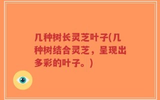 几种树长灵芝叶子(几种树结合灵芝，呈现出多彩的叶子。)