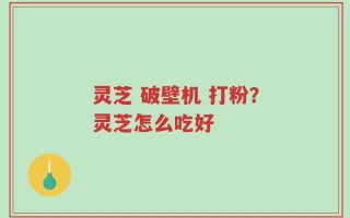 灵芝 破壁机 打粉？灵芝怎么吃好