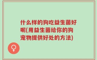 什么样的狗吃益生菌好呢(用益生菌给你的狗宠物提供好处的方法)