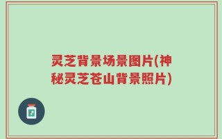 灵芝背景场景图片(神秘灵芝苍山背景照片)